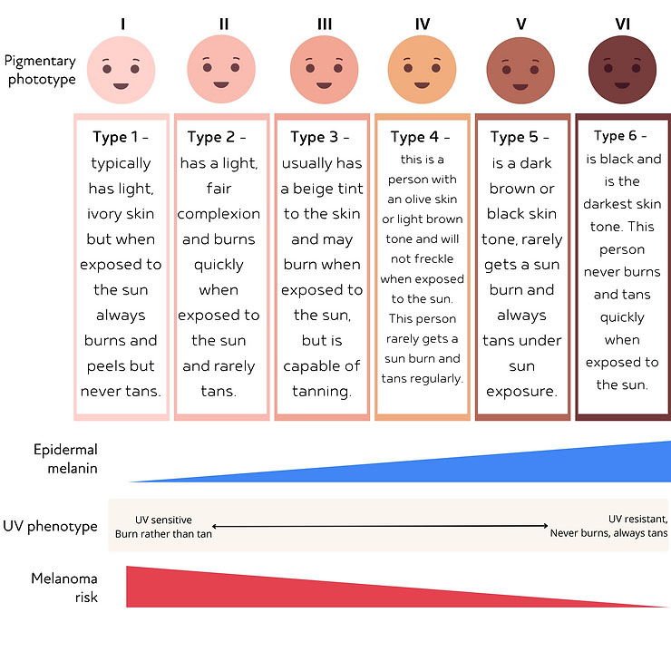 Skin Type chart showing 6 categories.