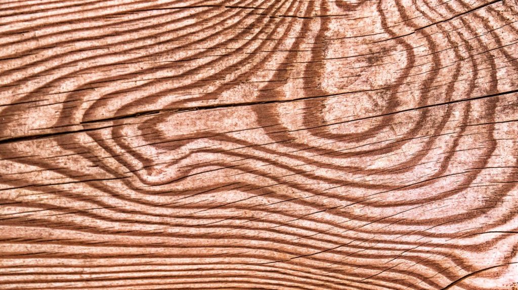 Texture of wood. 